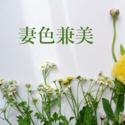 29022195_sのコピー2